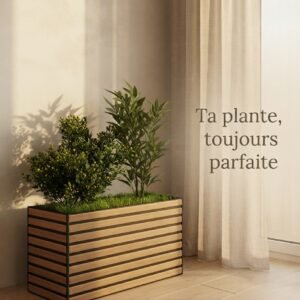 Jardinière en Bois Premium avec Gazon Artificiel Collé & Plante d'Olivier Décorative